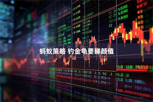 蚂蚁策略 钓金龟要睇颜值
