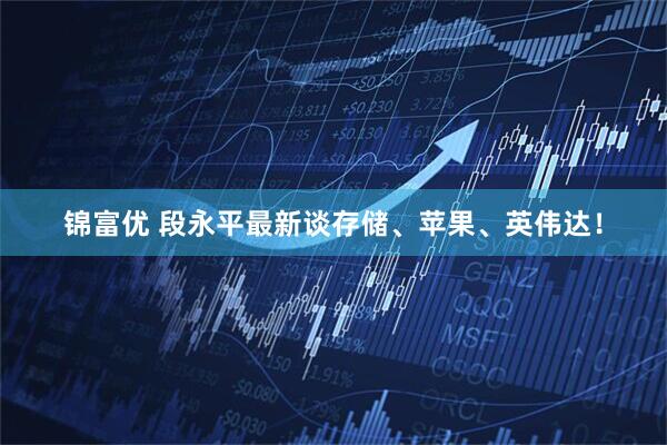 锦富优 段永平最新谈存储、苹果、英伟达！